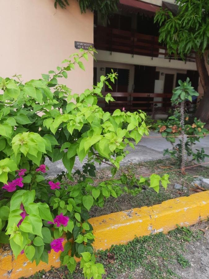 The Mango Lodge Kingston Exterior photo