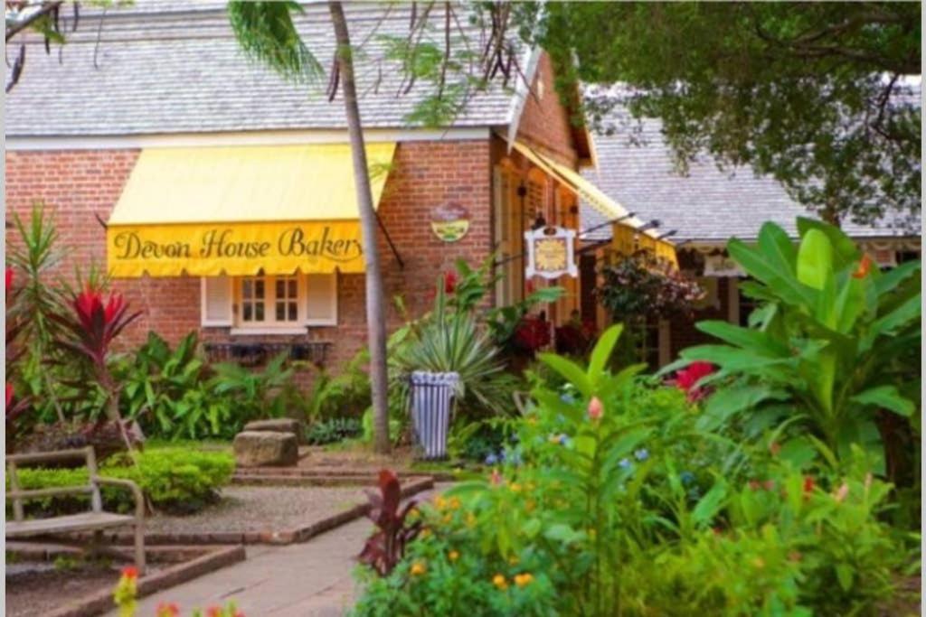 The Mango Lodge Kingston Exterior photo