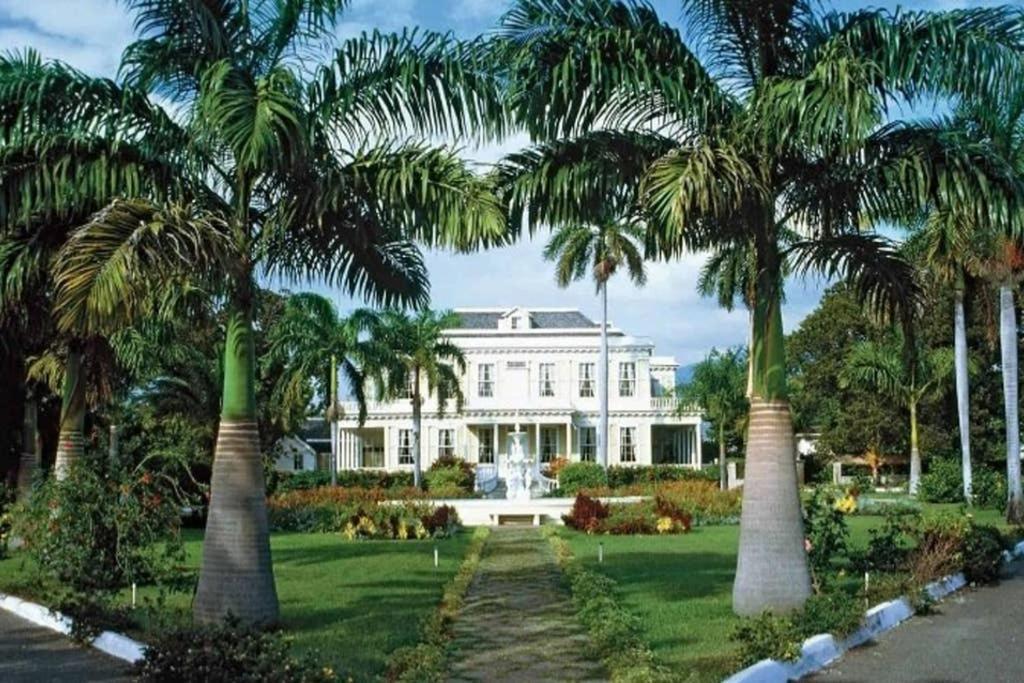 The Mango Lodge Kingston Exterior photo